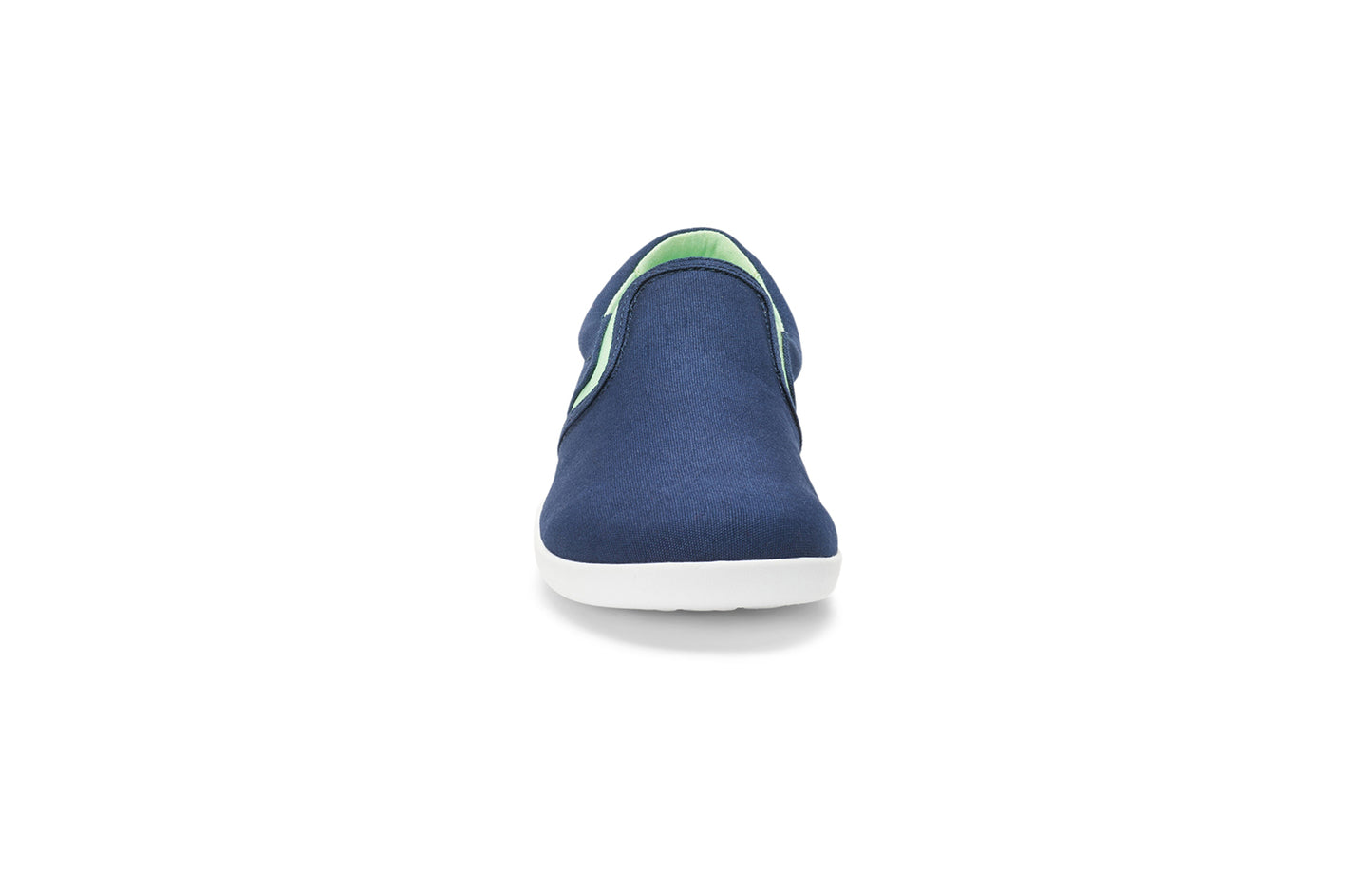 Insignia Blue