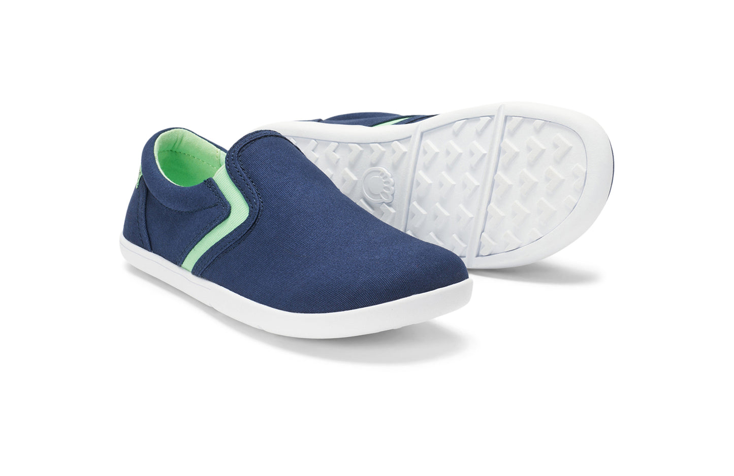 Insignia Blue