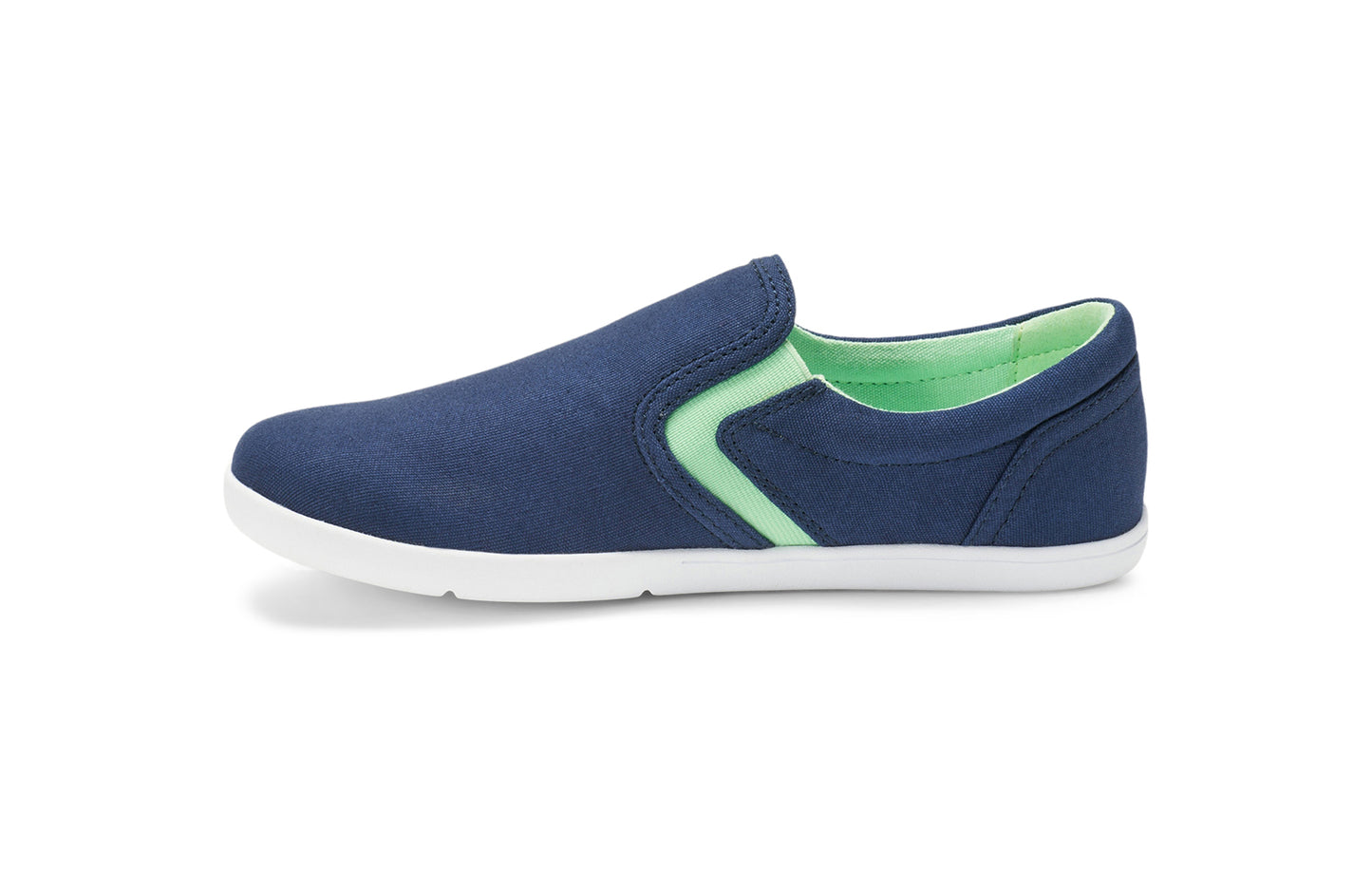 Insignia Blue