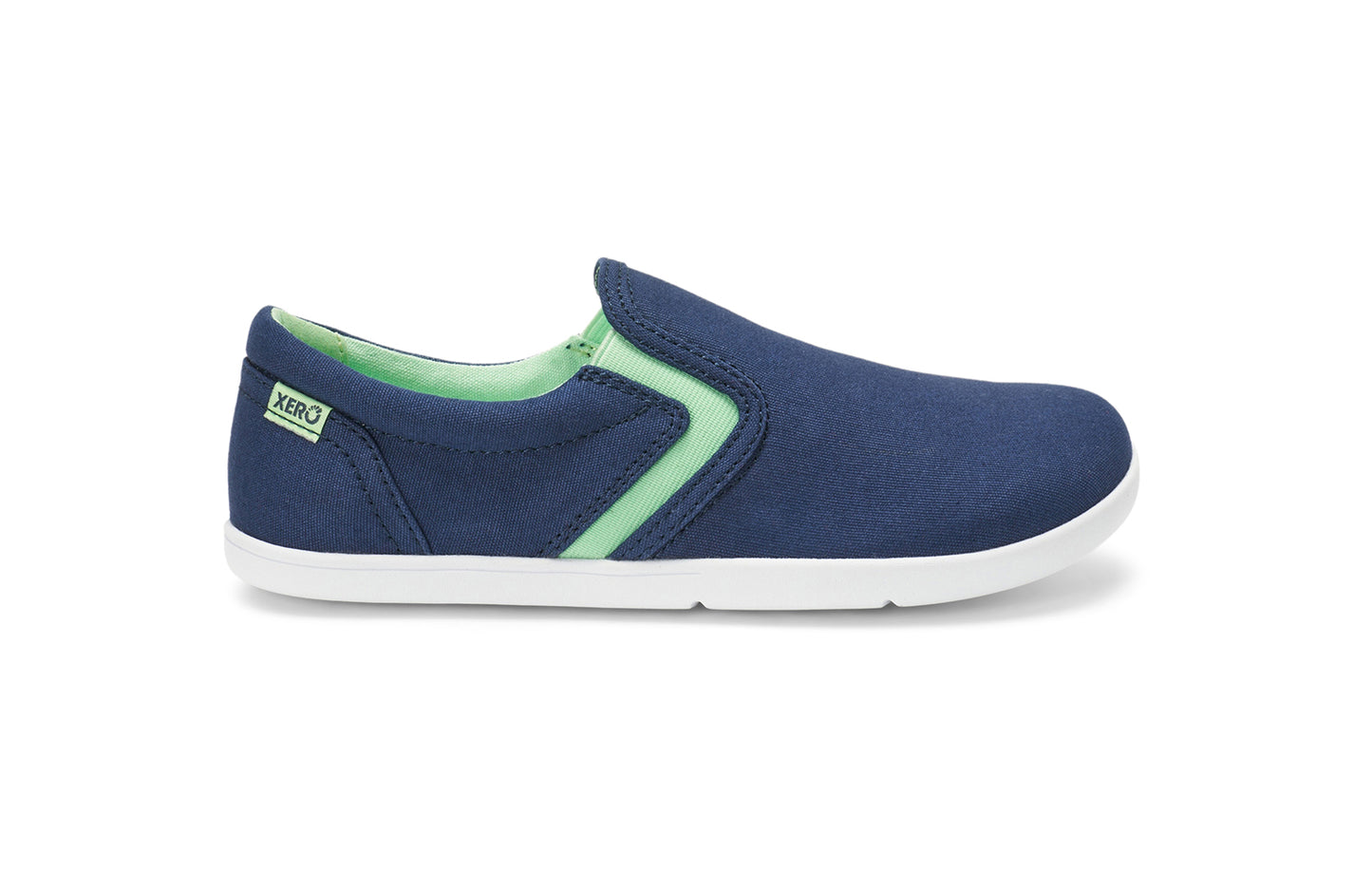 Insignia Blue