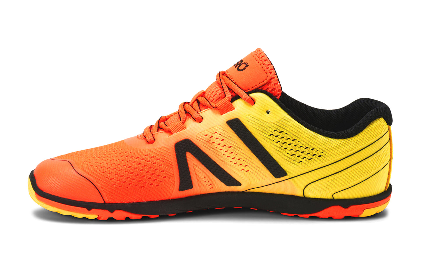 Neon Orange