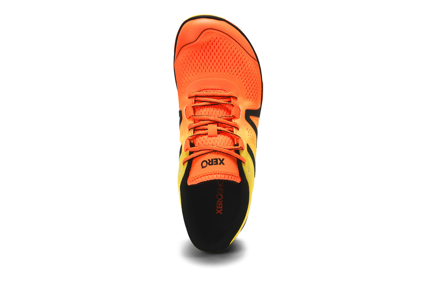 Neon Orange