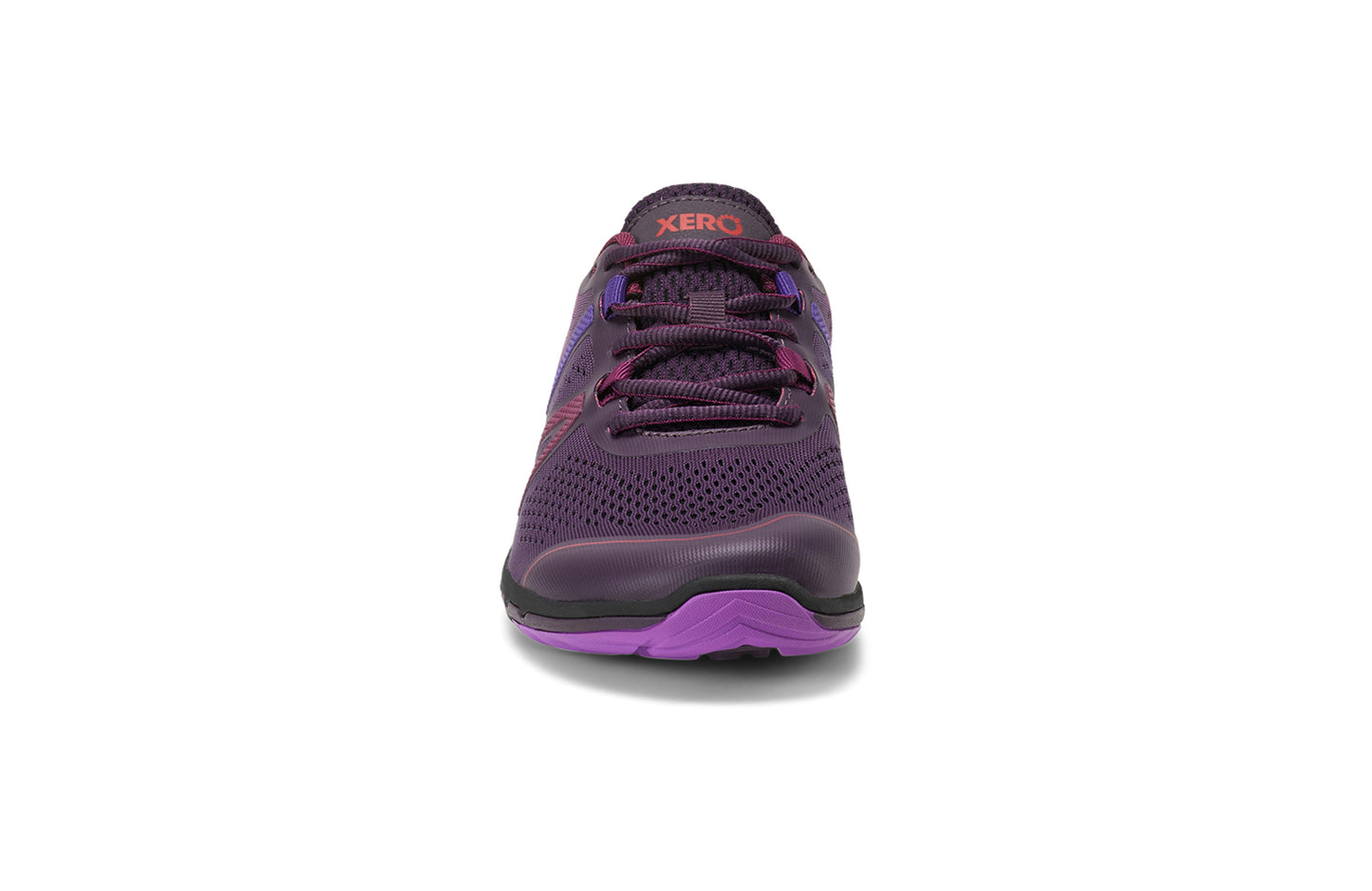Gradient Purple