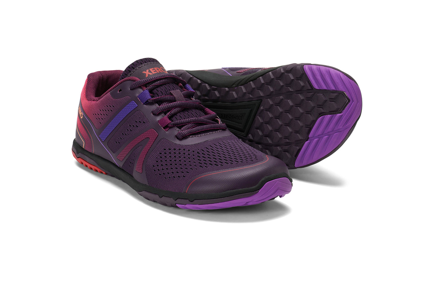 Gradient Purple