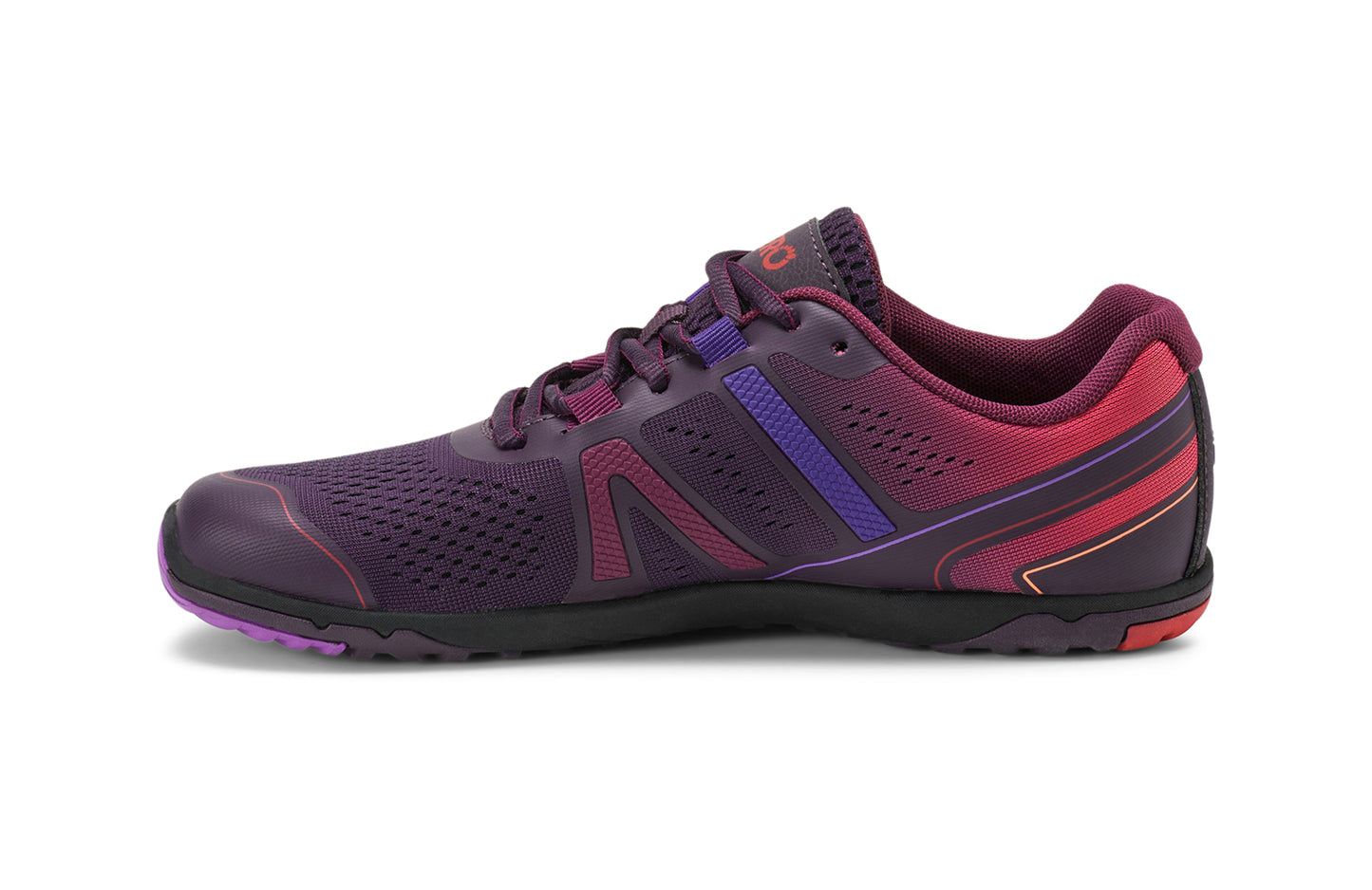 Gradient Purple