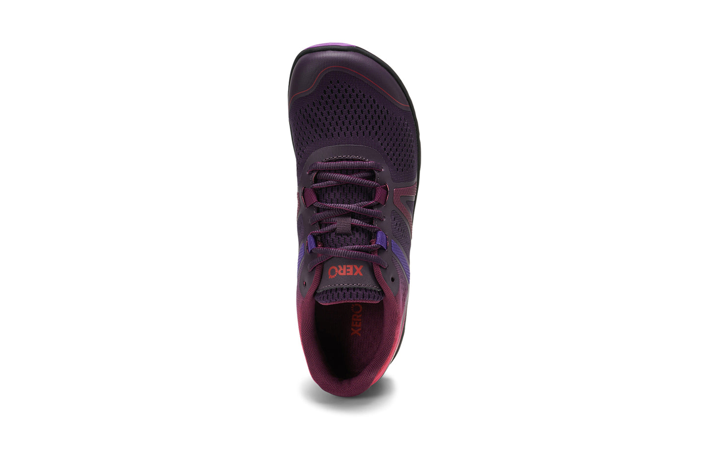 Gradient Purple