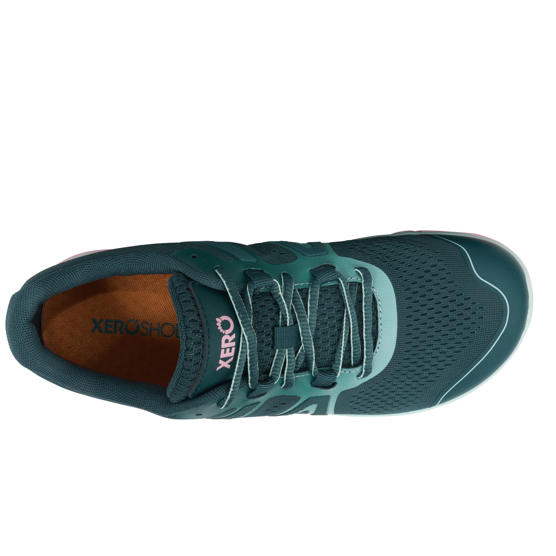 Sea Moss / Pink-a-Boo