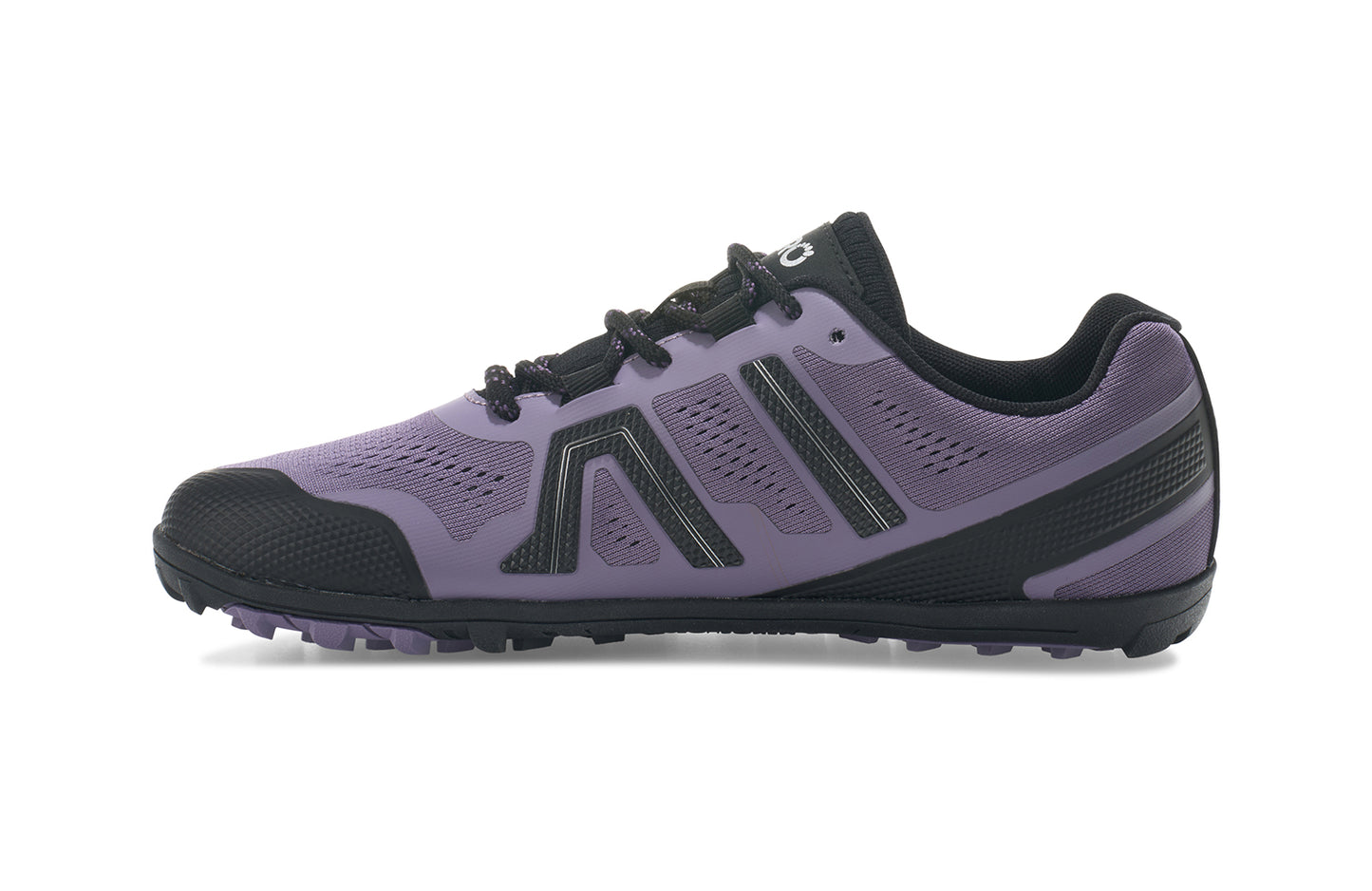 Sage Purple / Silver