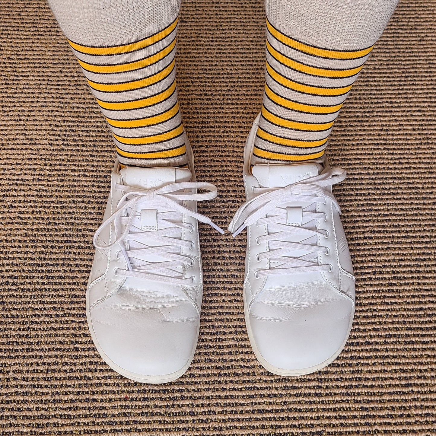 Orange Stripes