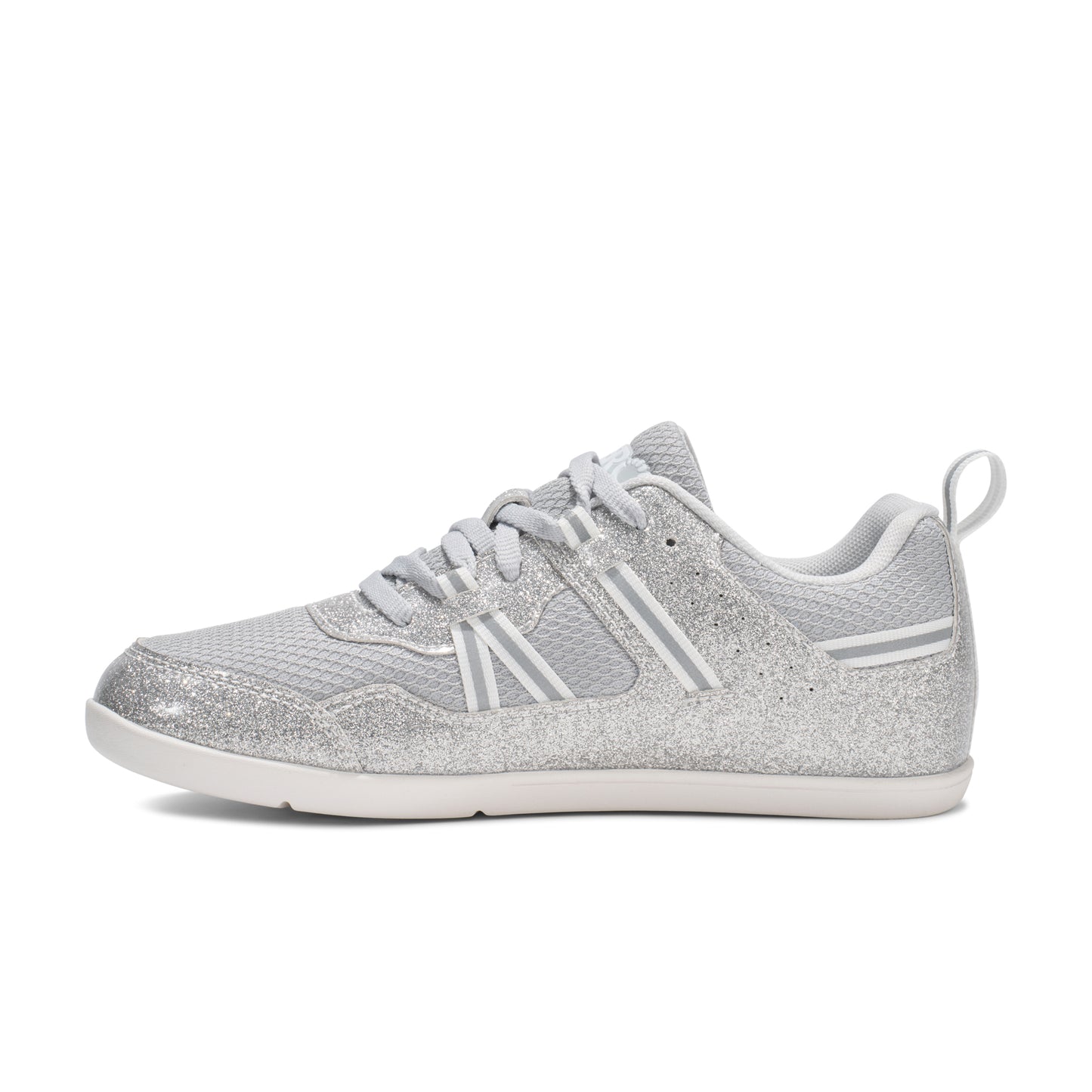 Silver Glitter