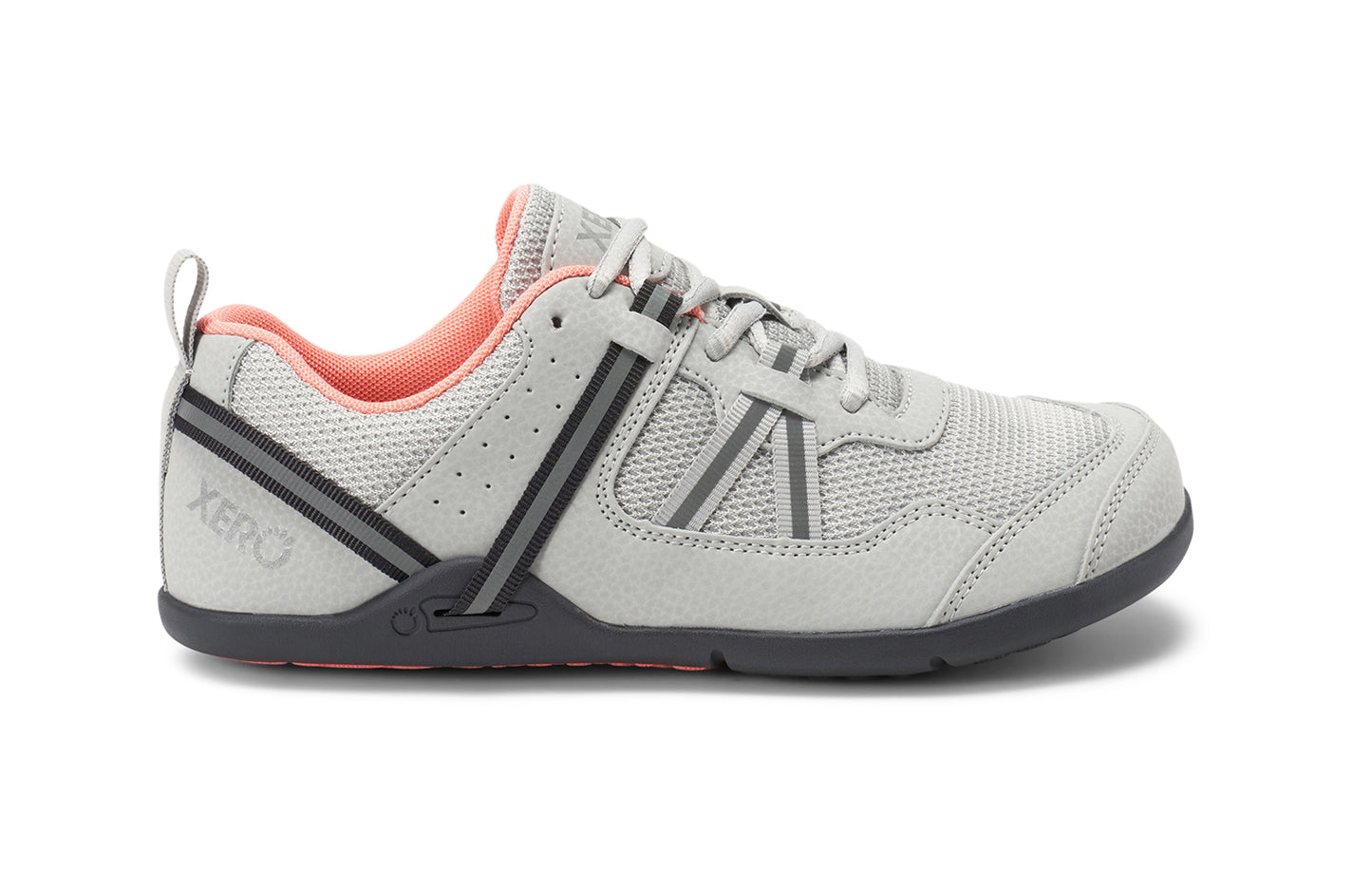 Lunar Rock