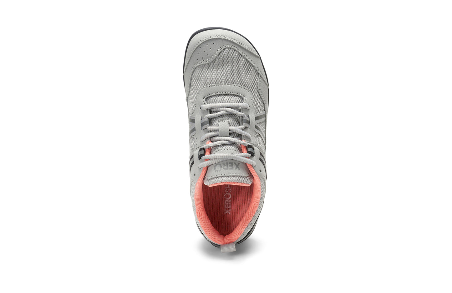 Lunar Rock
