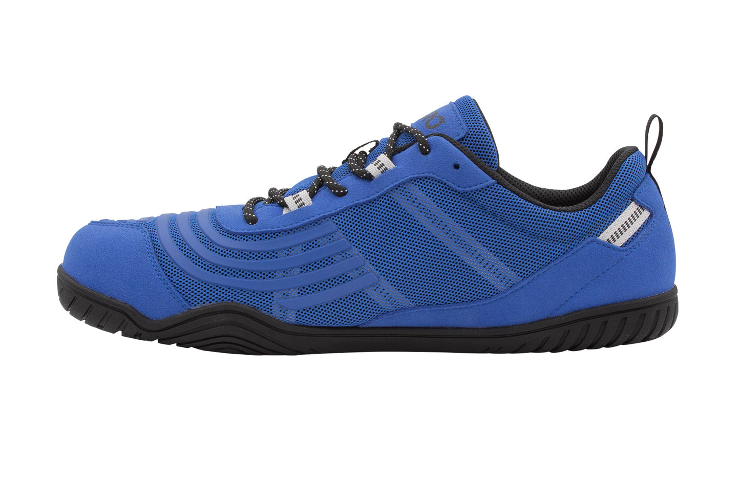 Blue / Gray