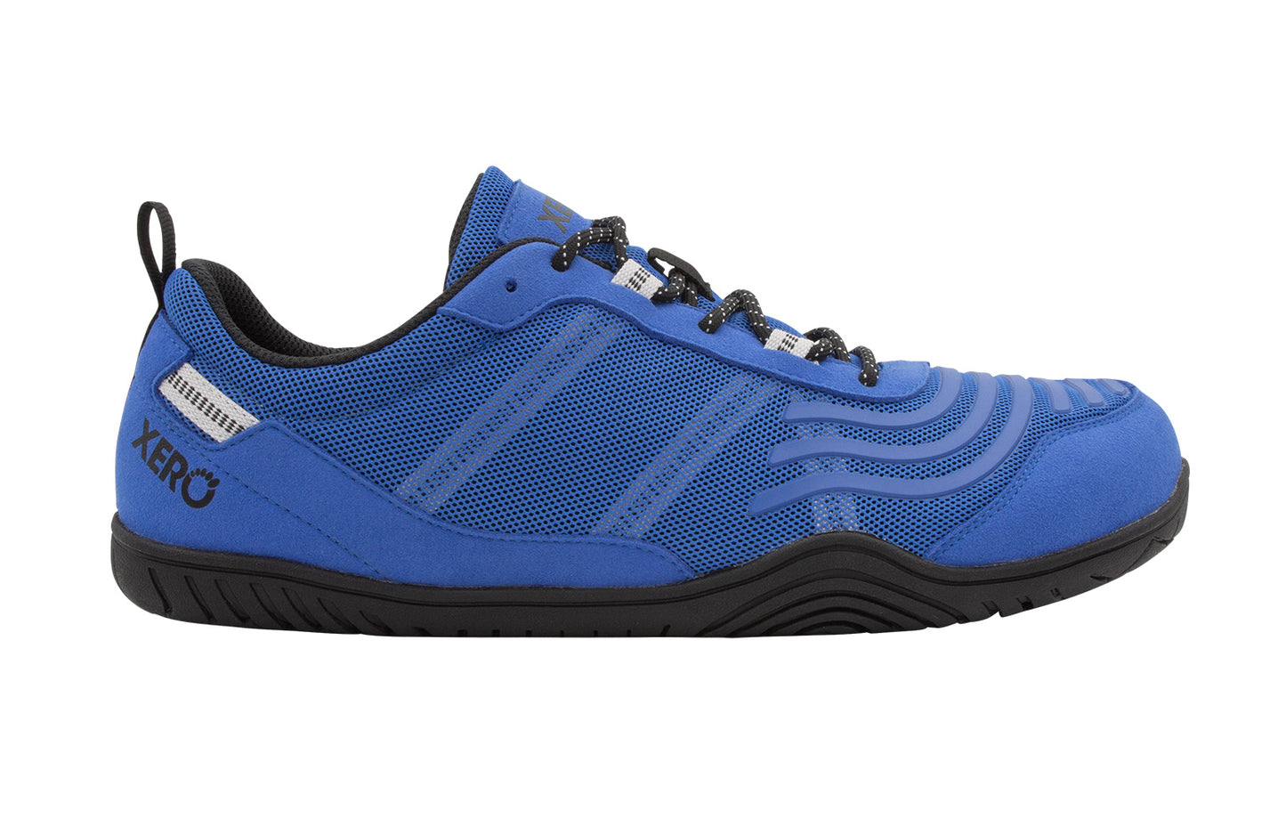 Blue / Gray