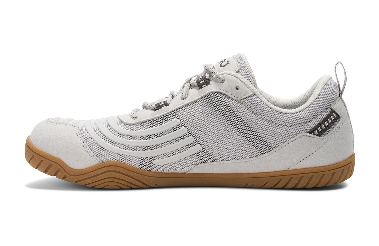 Lunar Rock / Gum