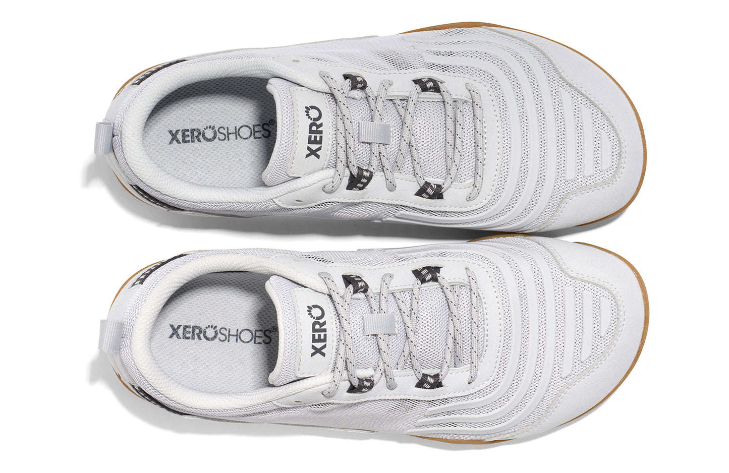 Lunar Rock / Gum
