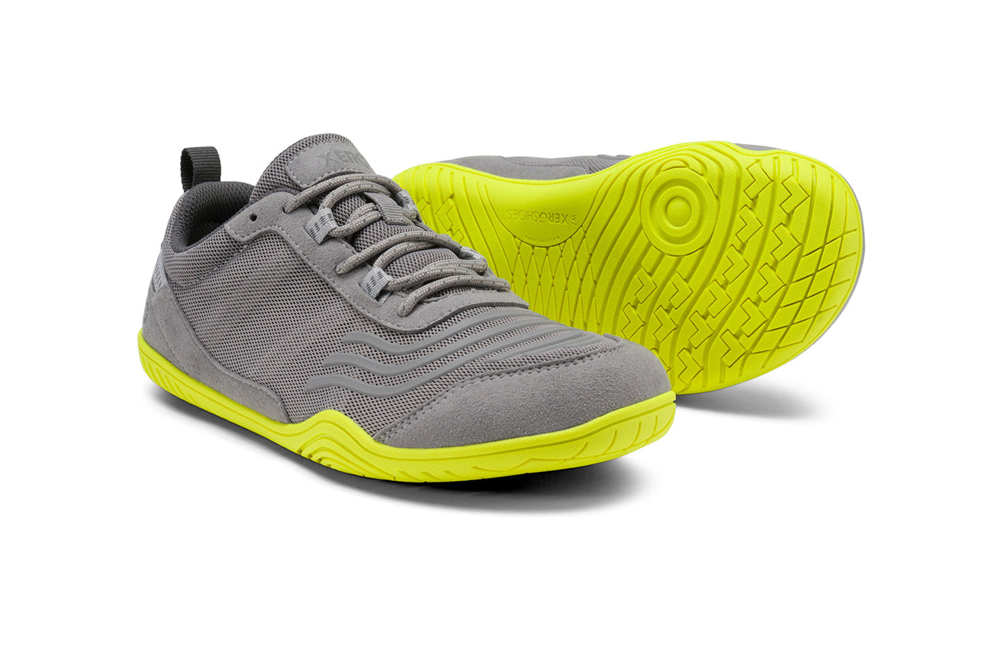 Alloy / Optic Yellow