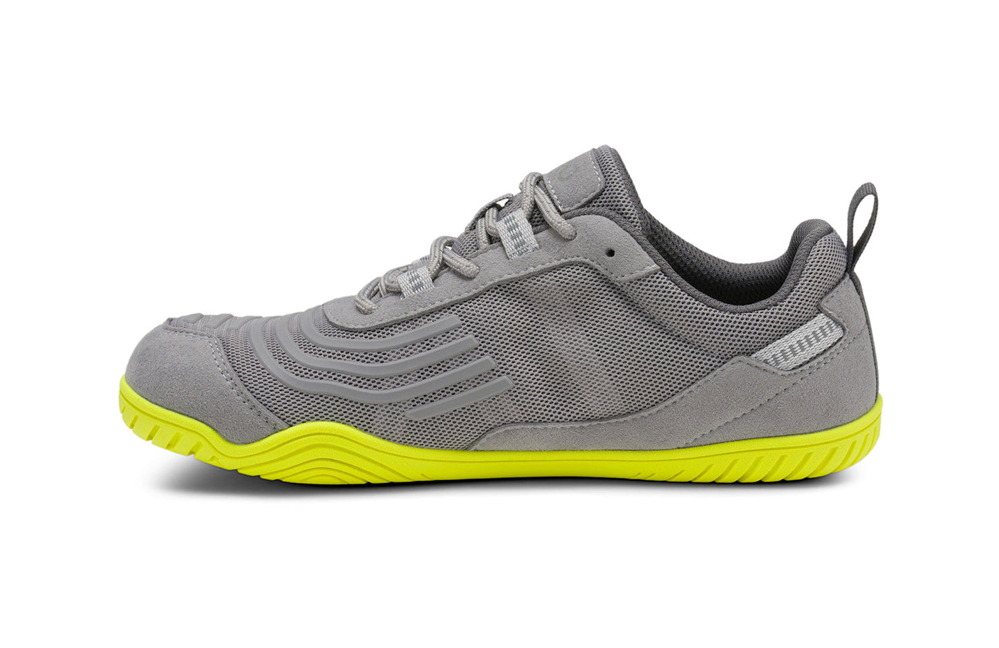 Alloy / Optic Yellow