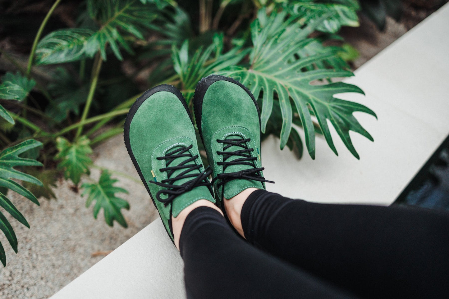 Olive Green