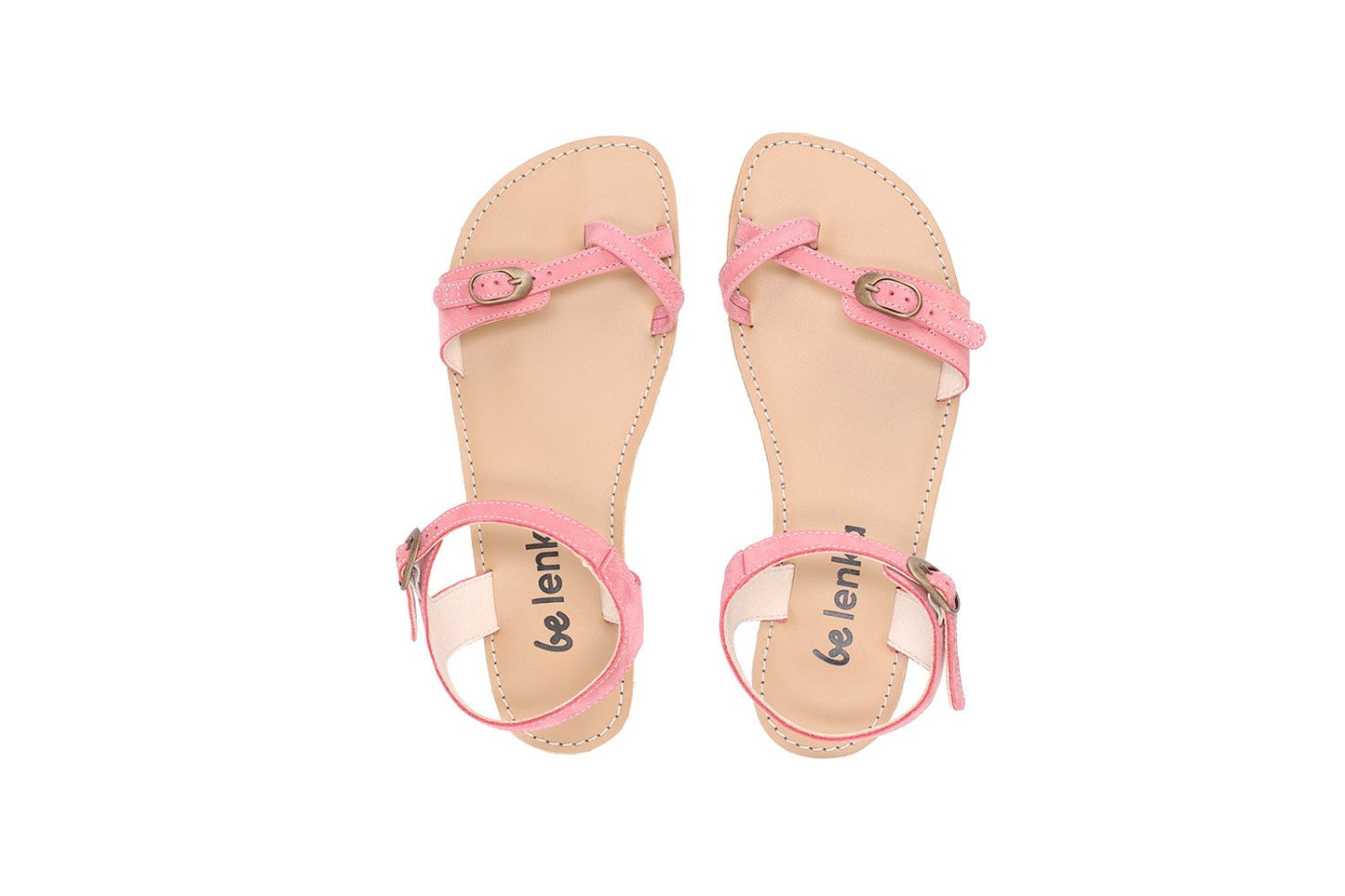 Flamingo Pink