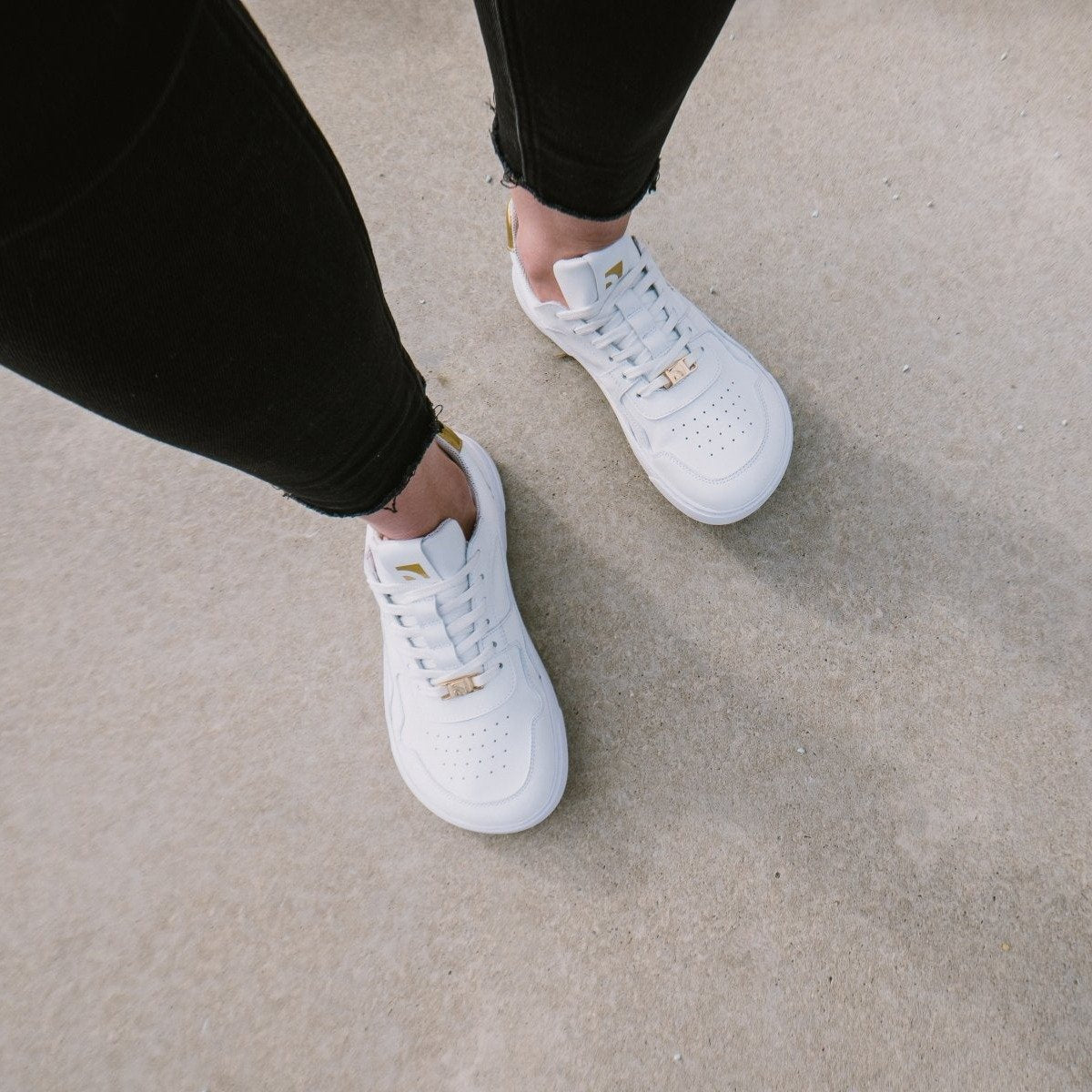 White & Gold