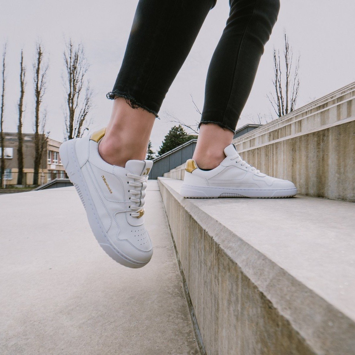 White & Gold