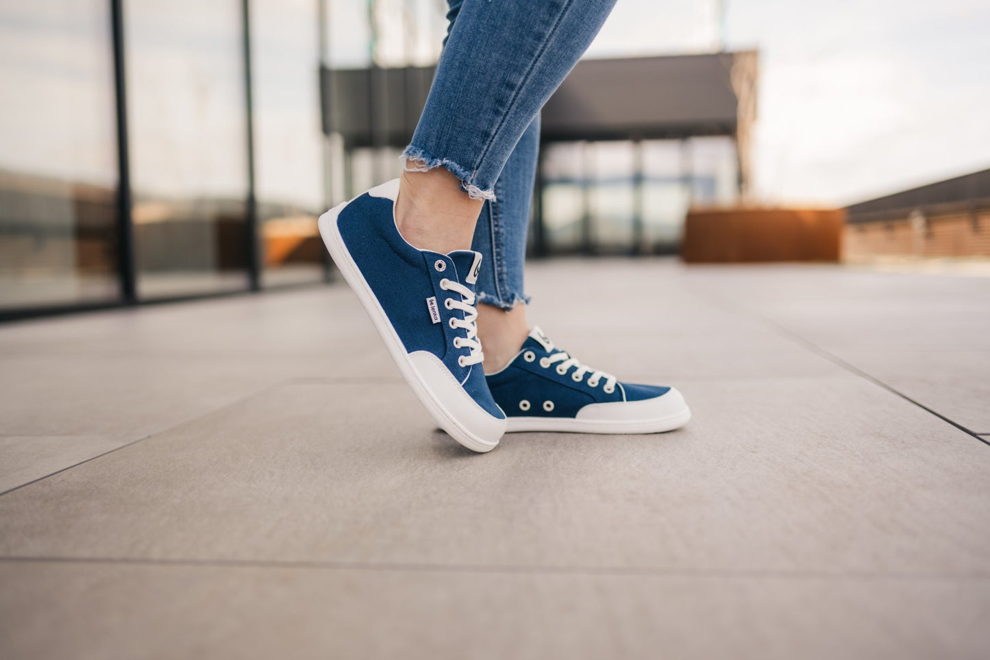 Dark Blue & White
