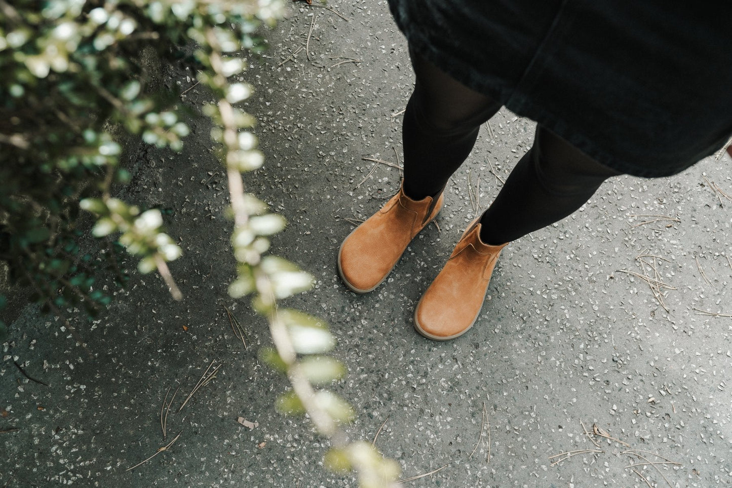 Cinnamon Brown