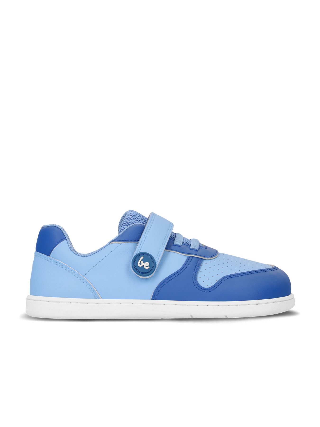 Light & Royale Blue