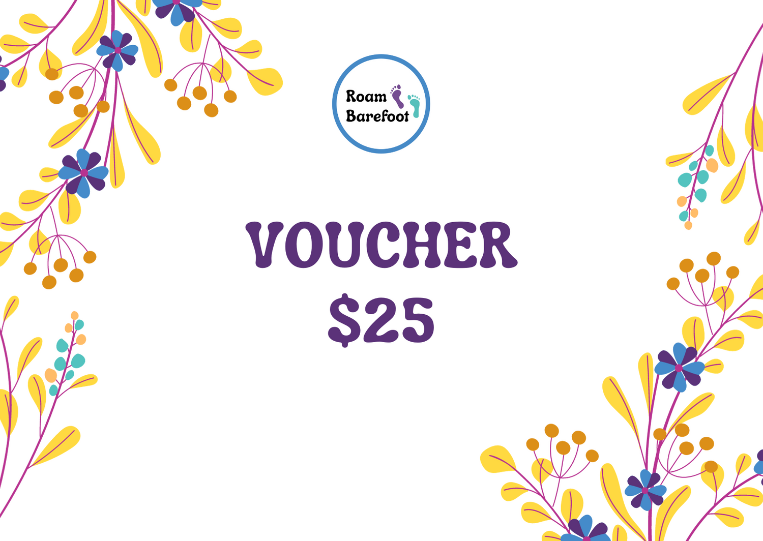 $25.00