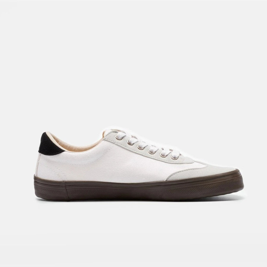 White-Dark Gum