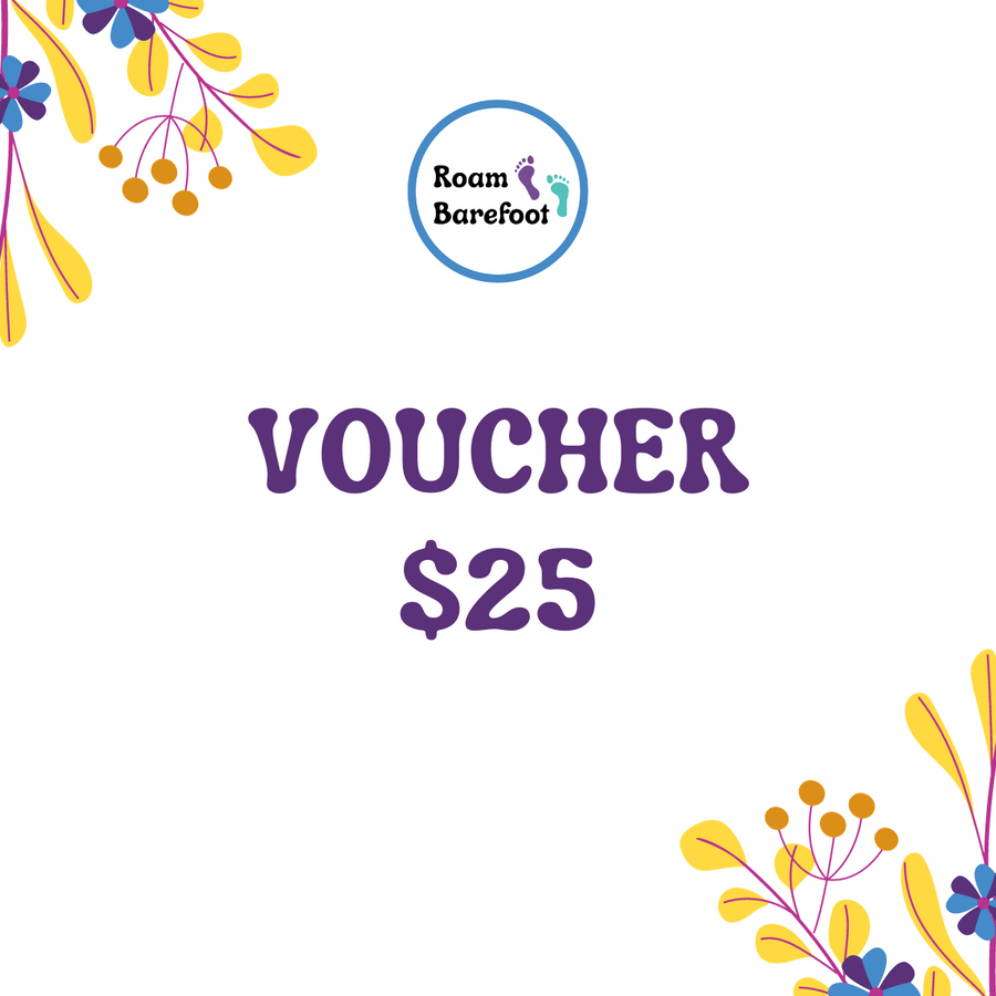 $25.00