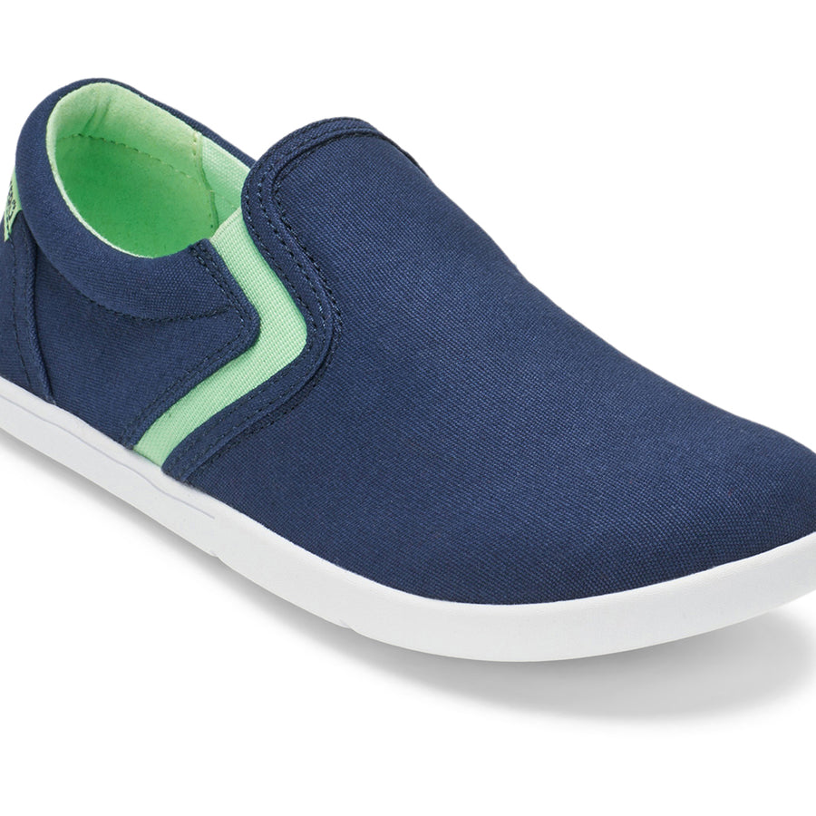 Insignia Blue
