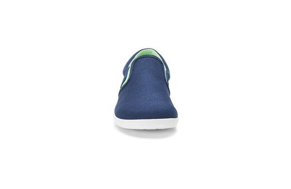 Insignia Blue