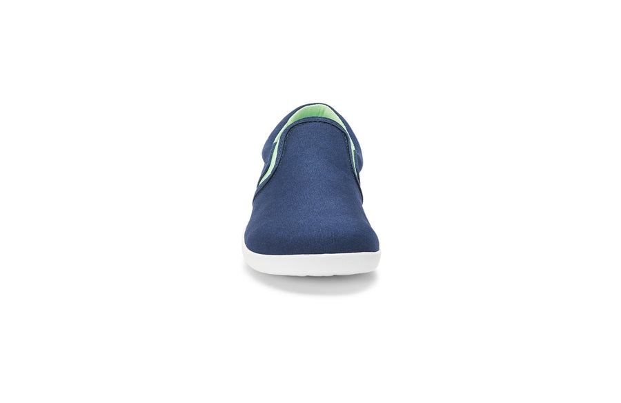 Insignia Blue