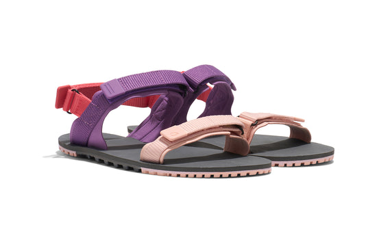 Dewberry Multi