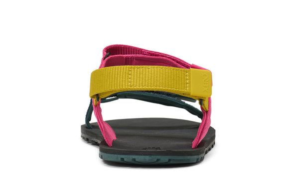 Fuchsia Purple / Sea Moss