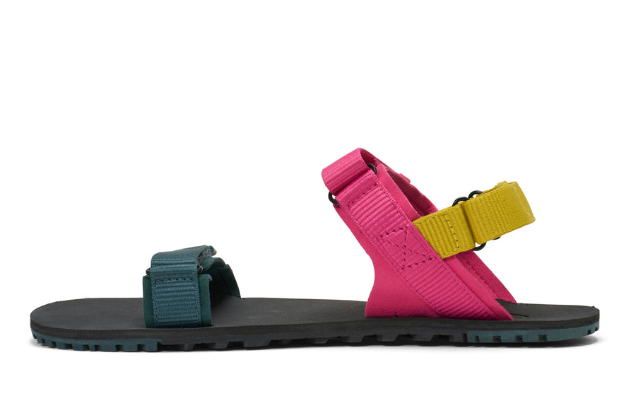 Fuchsia Purple / Sea Moss