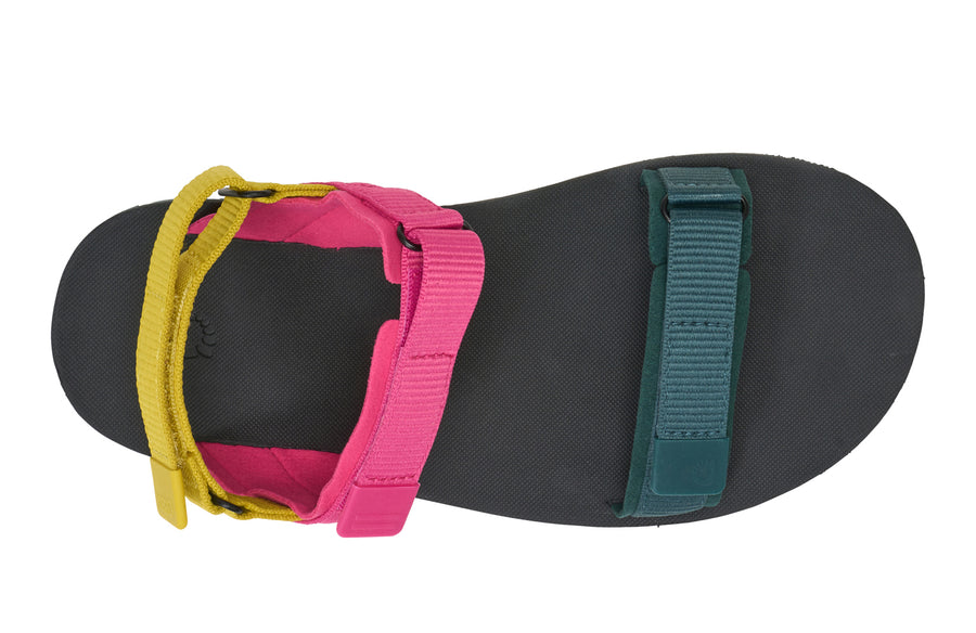 Fuchsia Purple / Sea Moss