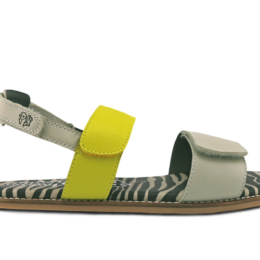 Must Have