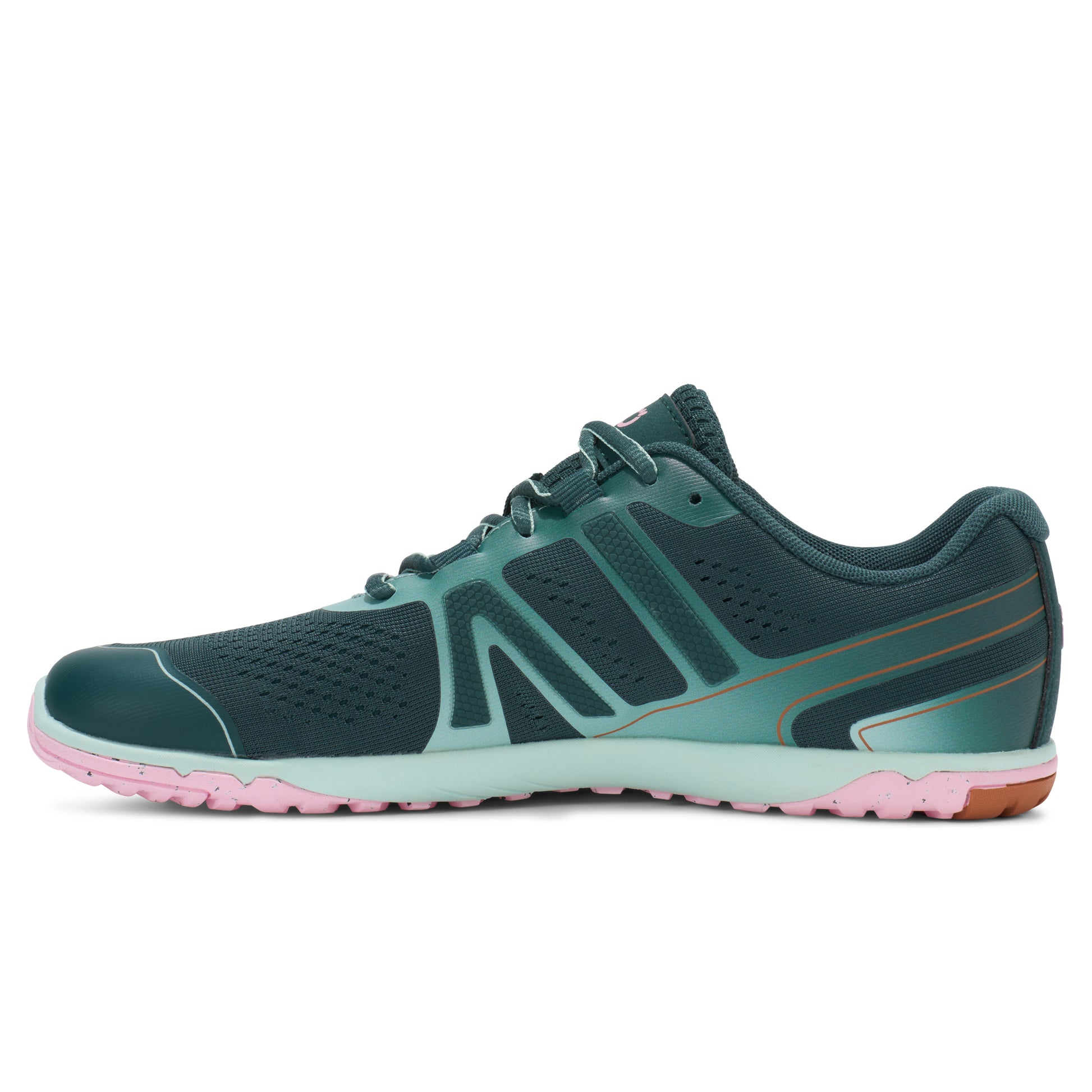 Sea Moss / Pink-a-Boo