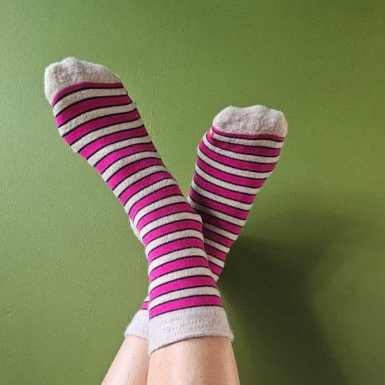 Magenta Stripes