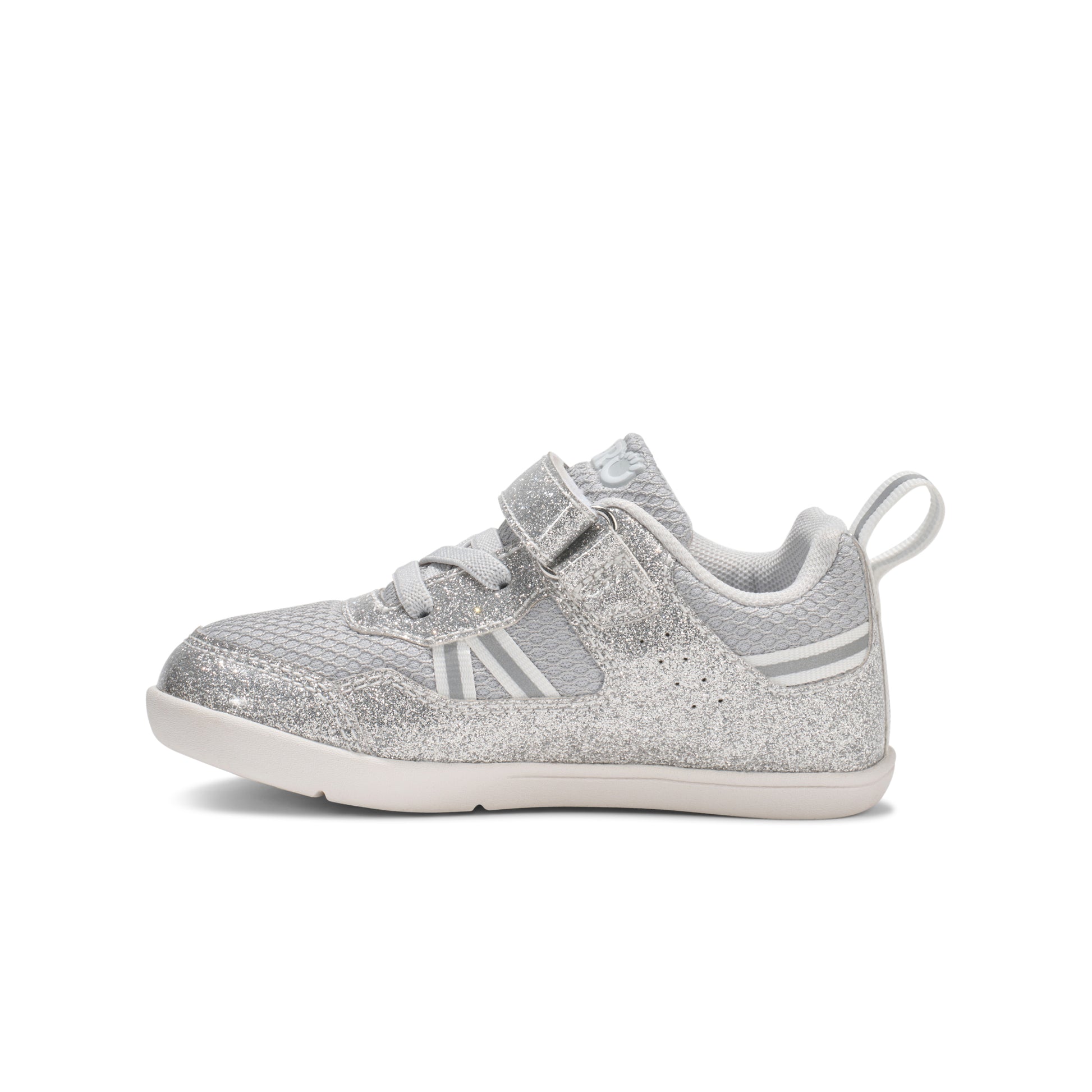Silver Glitter
