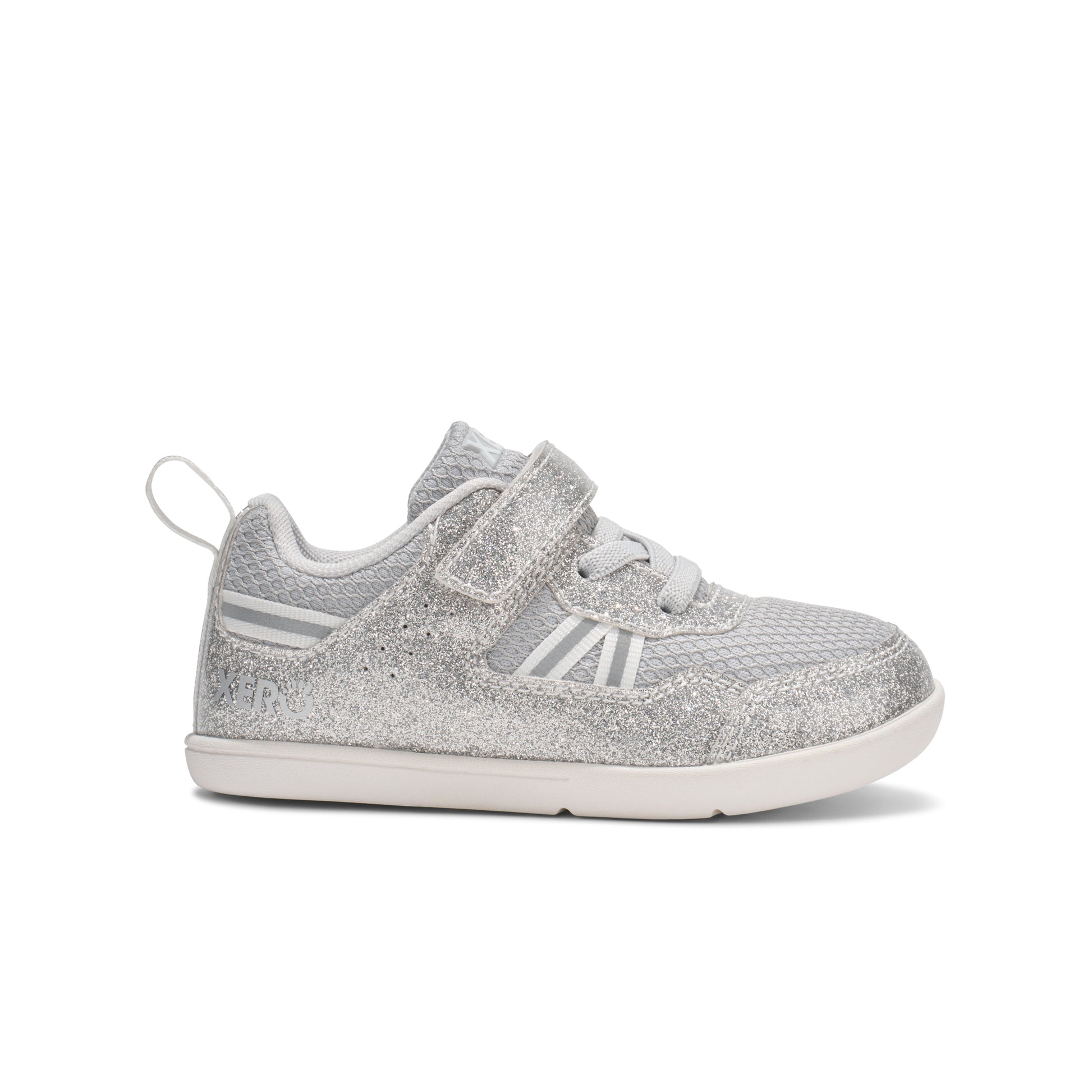 Silver Glitter