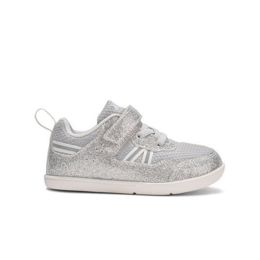 Silver Glitter