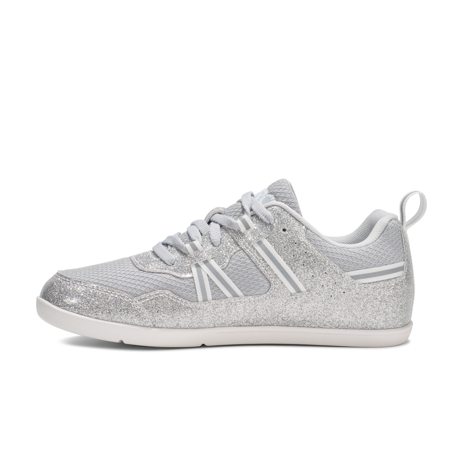Silver Glitter