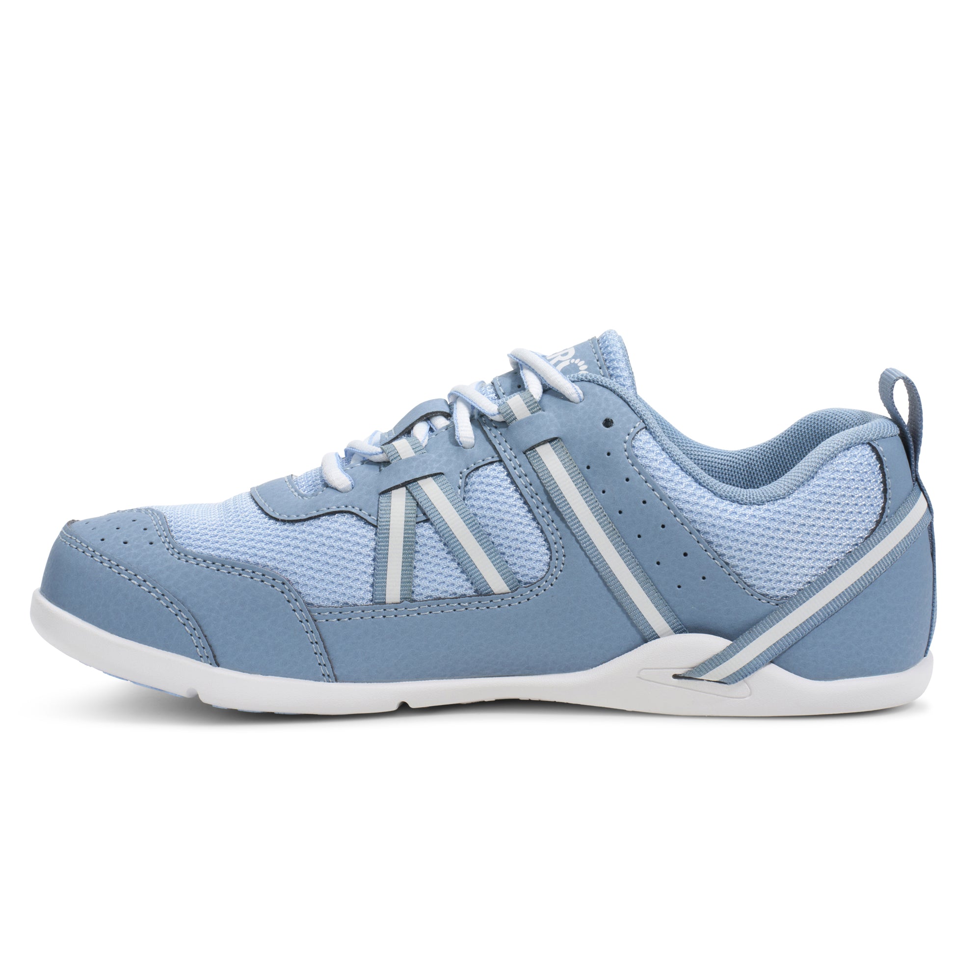 Dusty Blue