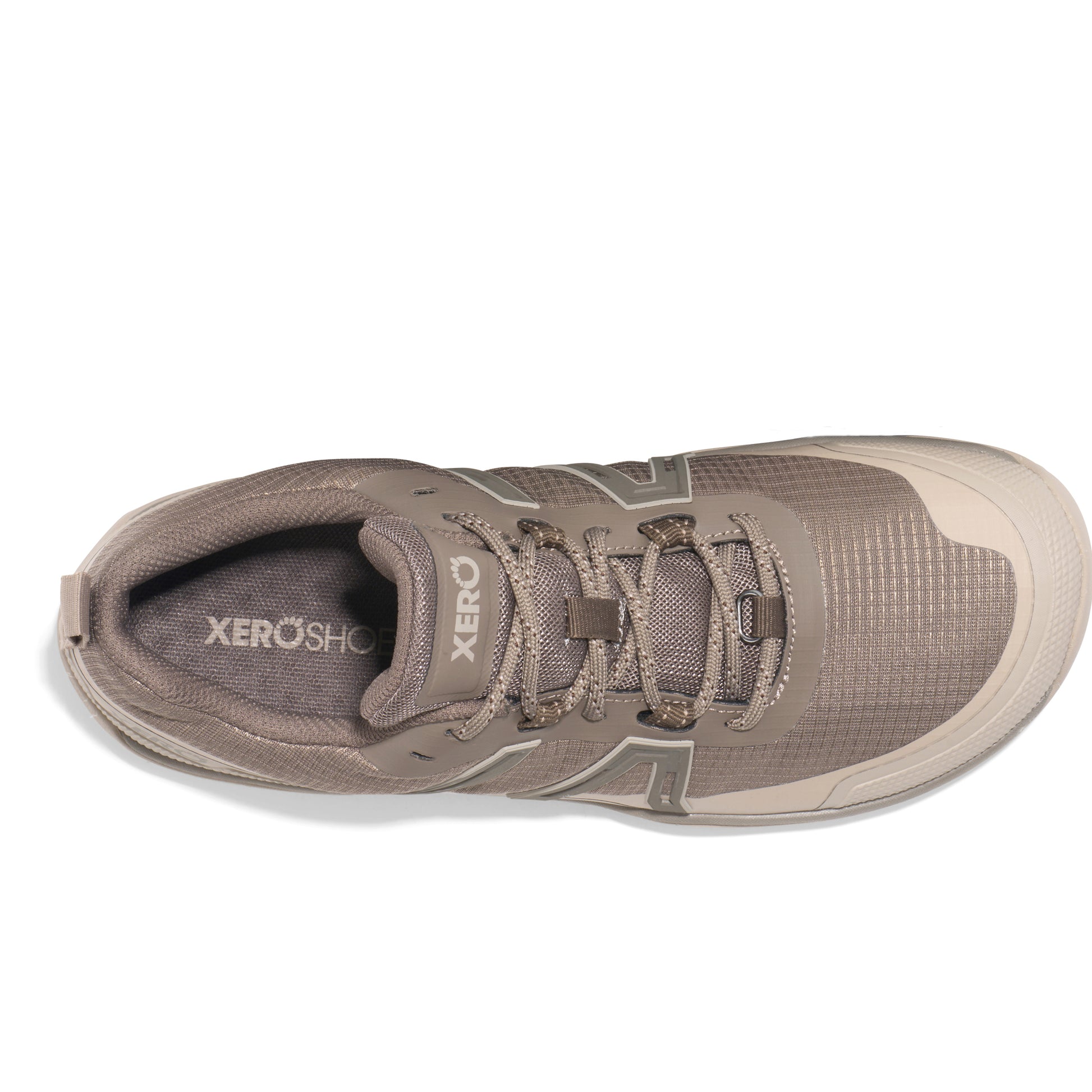 Morel / Pure Cashmere