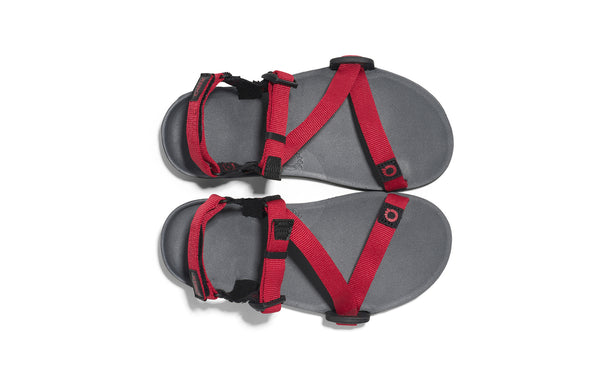 Charcoal / Red Pepper