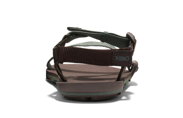 Dark Forest / Java Brown